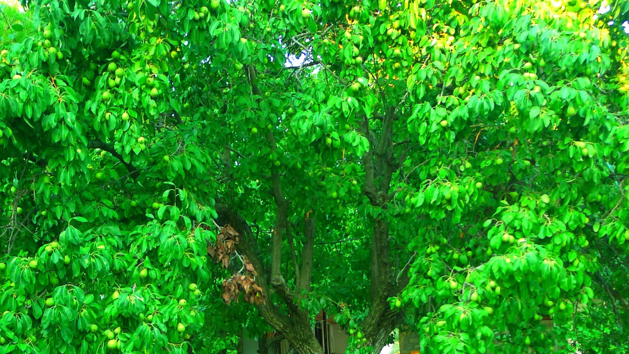 Photo of Outdoor in Gokceada