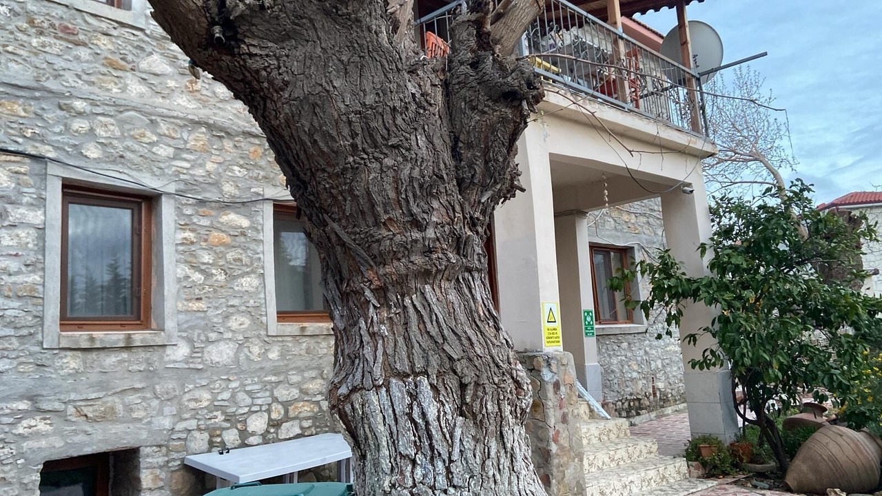 Photo of Outdoor in Gokceada