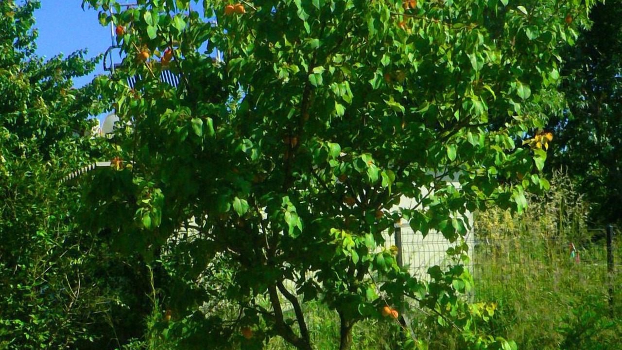 Photo of Outdoor in Gokceada