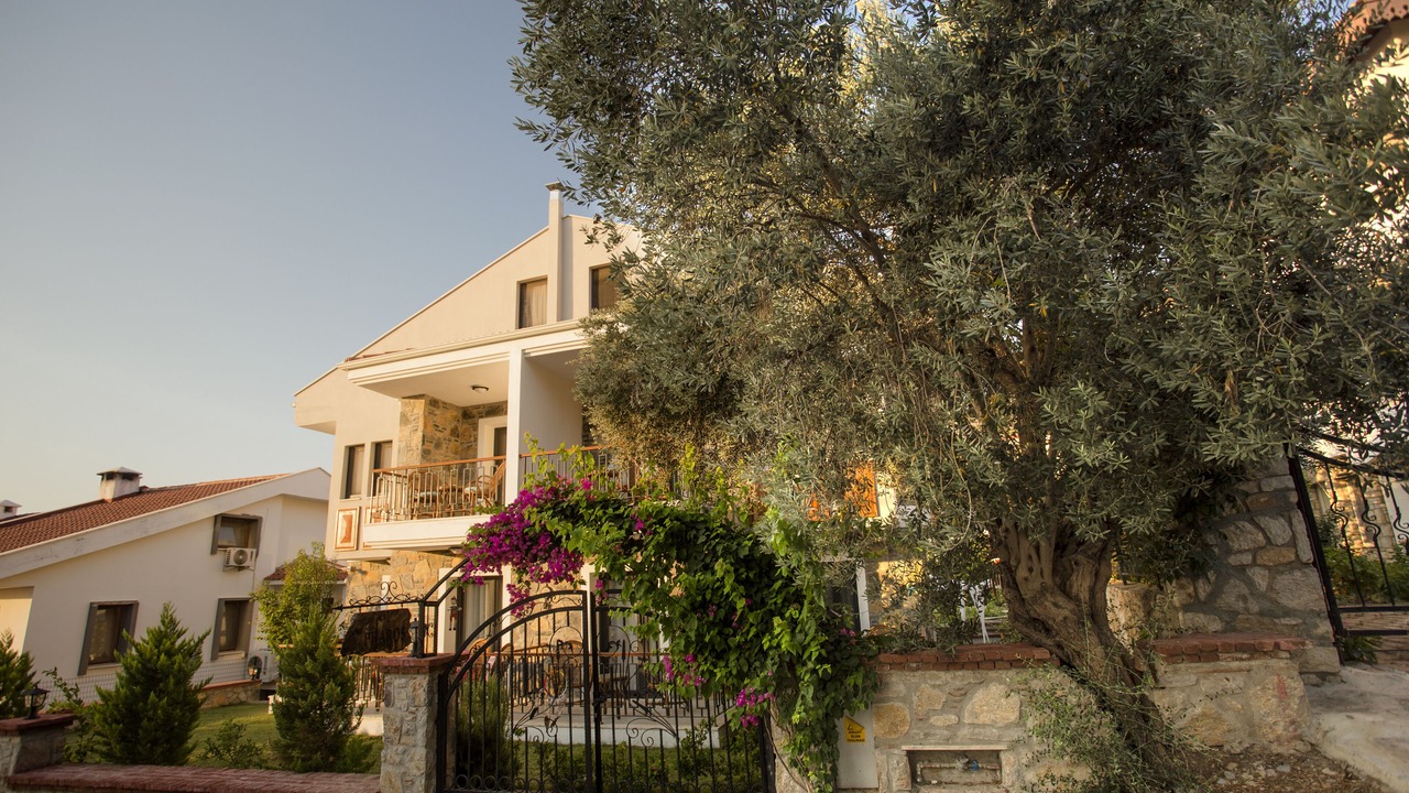 Photo of Outdoor in Datca City Center