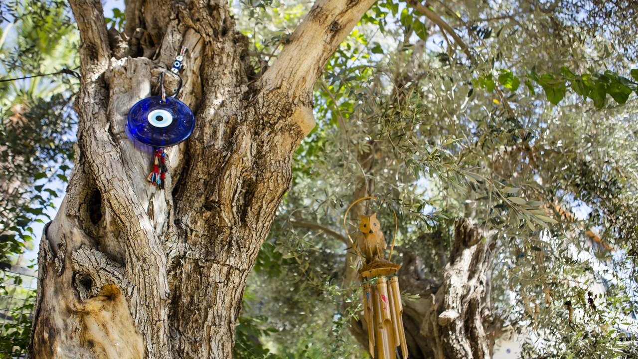 Photo of Outdoor in Datca City Center