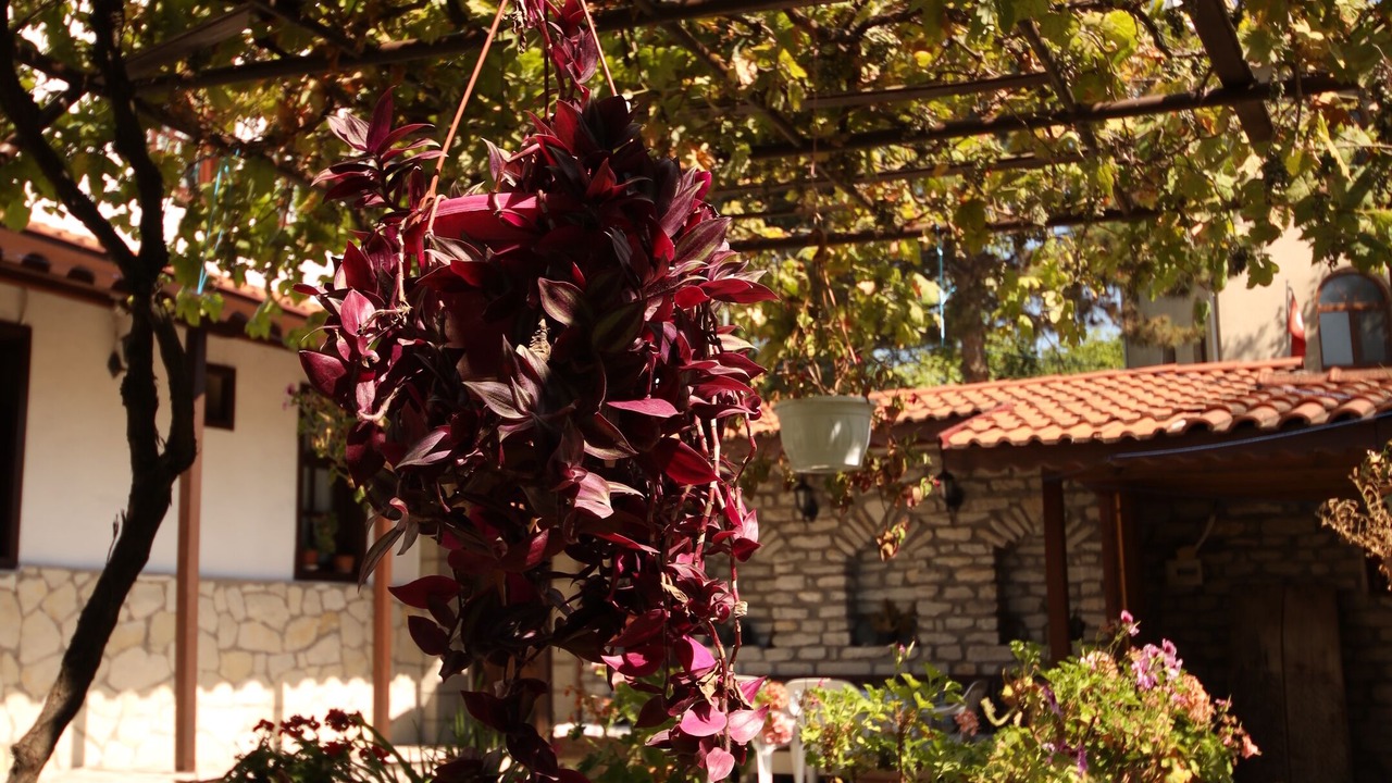 Photo of Outdoor in Safranbolu City Center