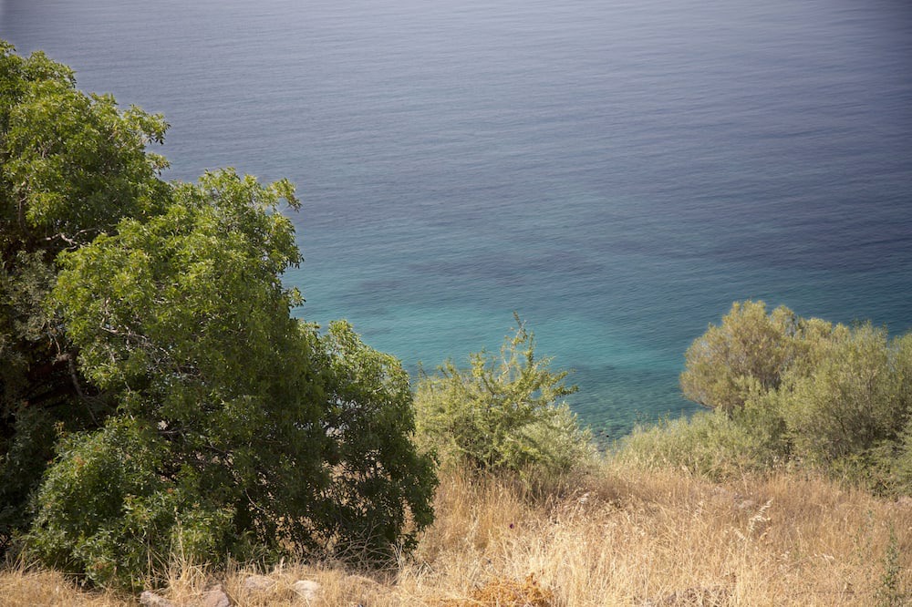 Photo of Others in Candarli