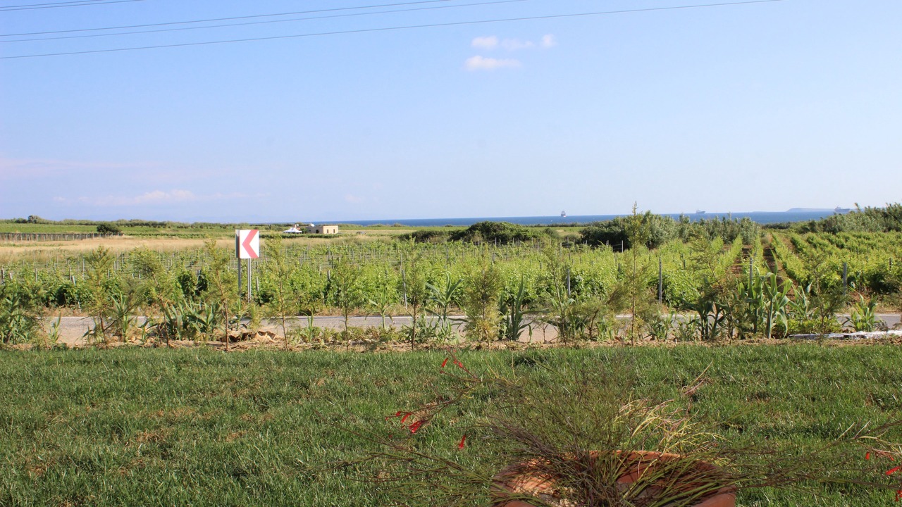 Photo of Outdoor in Bozcaada