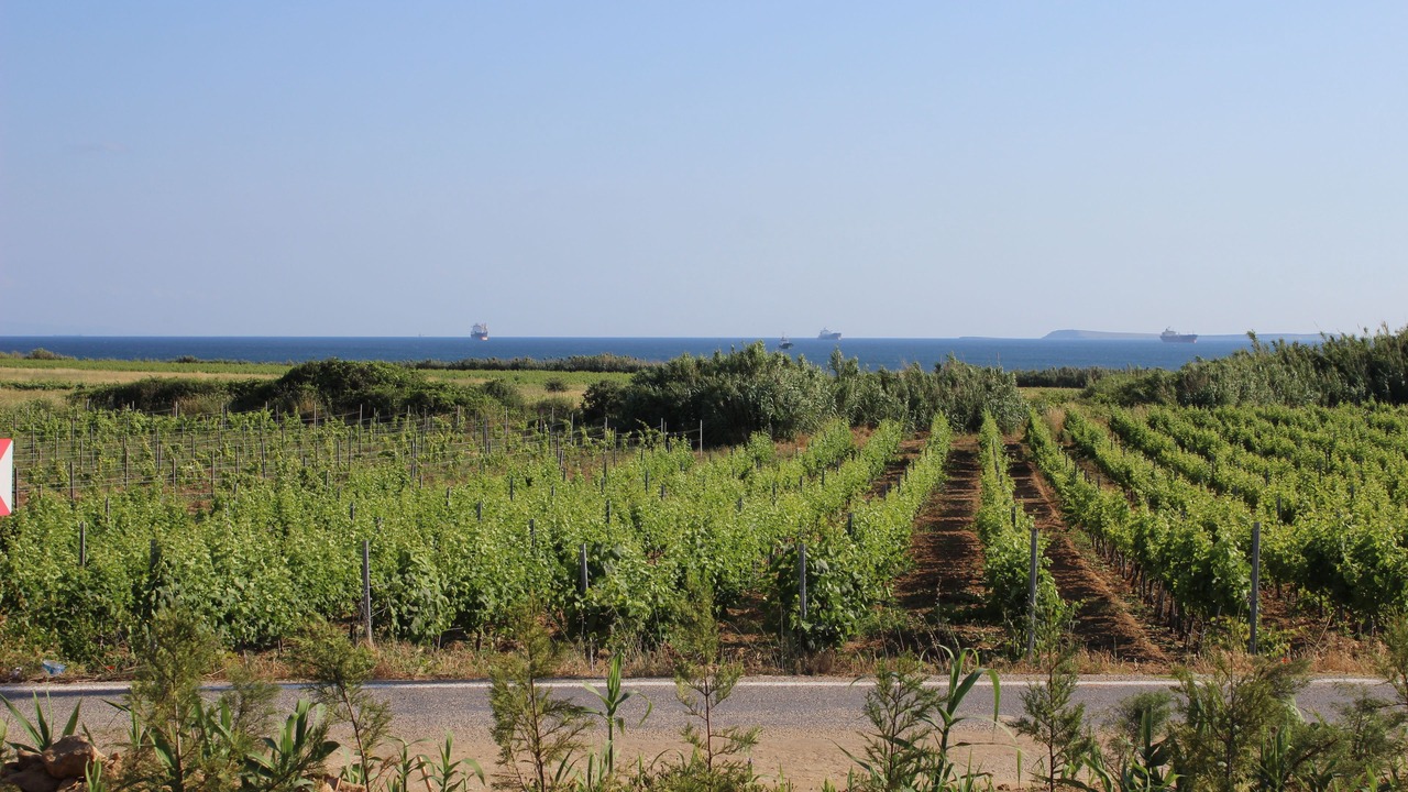 Photo of Outdoor in Bozcaada