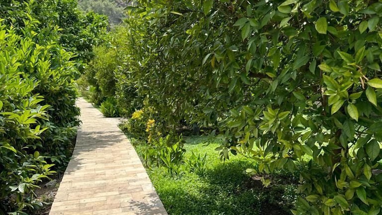Photo of Outdoor in Cirali