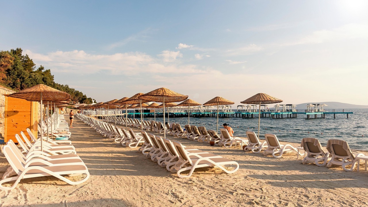Photo of Others in Torba