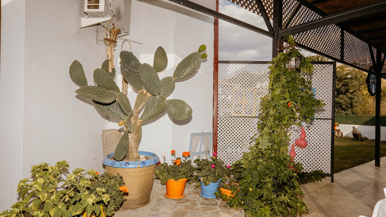Photo of Outdoor in Gokceada