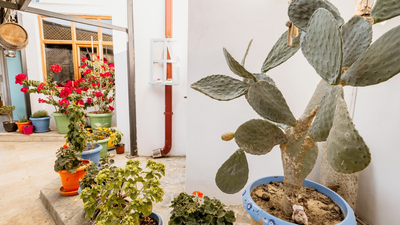 Photo of Outdoor in Gokceada