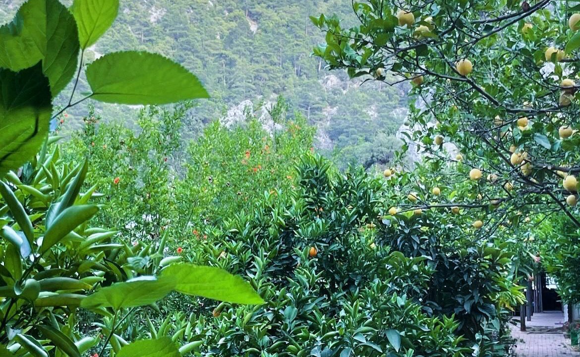 Photo of Outdoor in Olympos