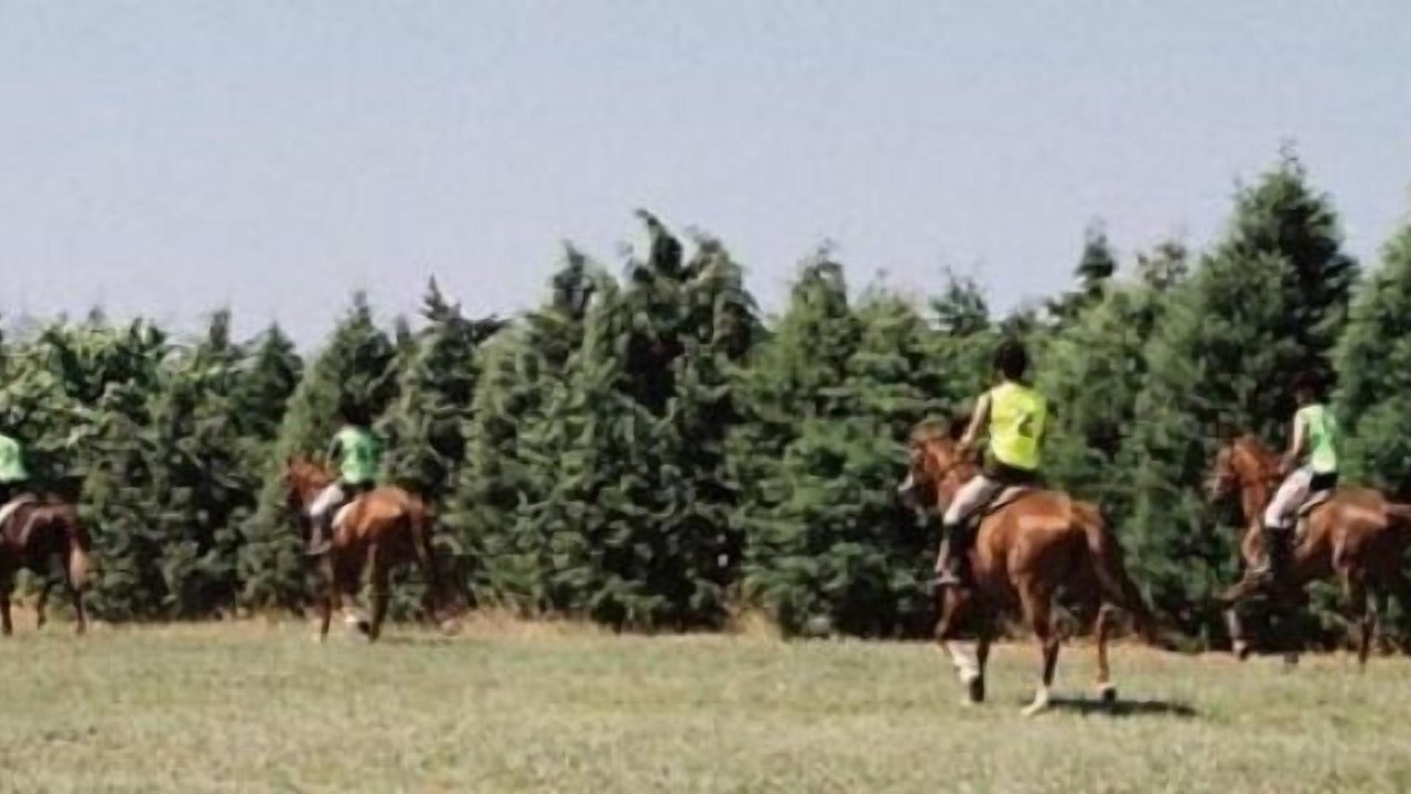 Photo of Outdoor in Kumburgaz