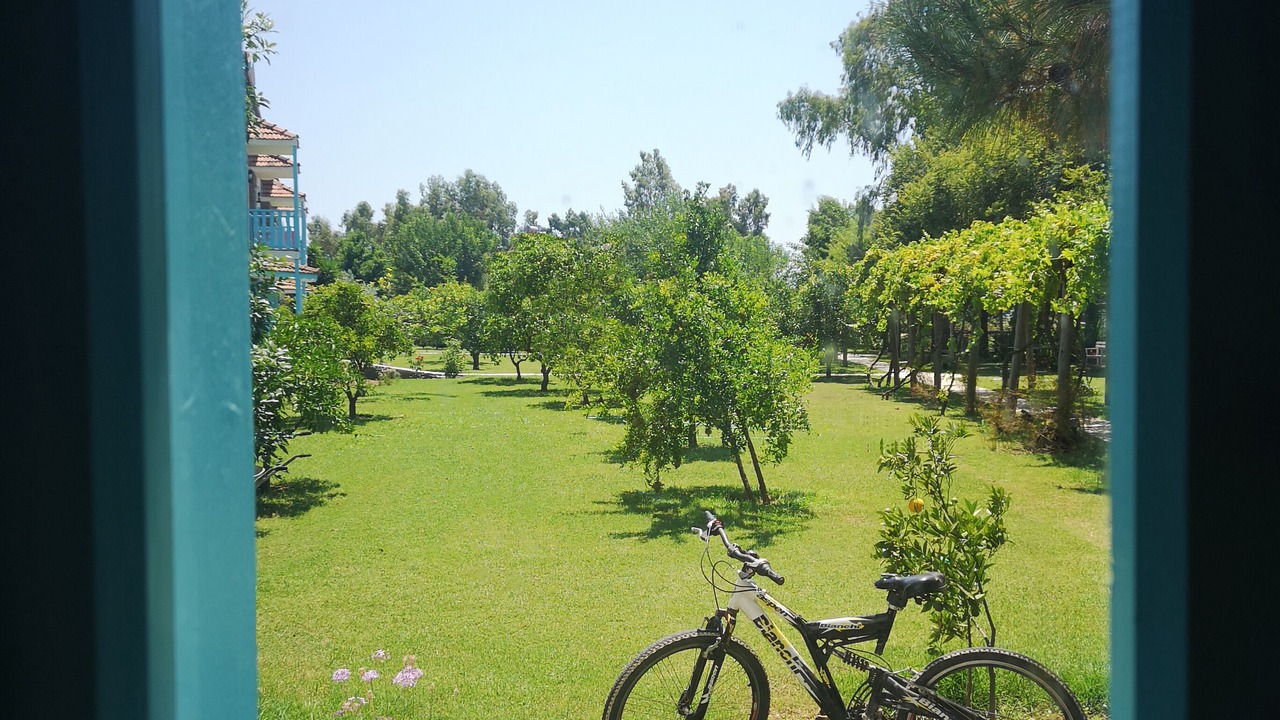 Photo of Outdoor in Yaniklar