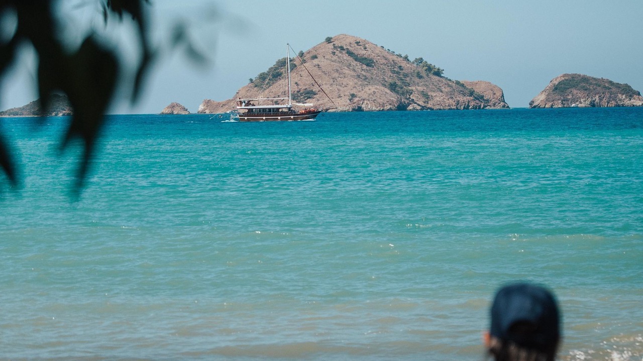 Photo of Others in Yaniklar