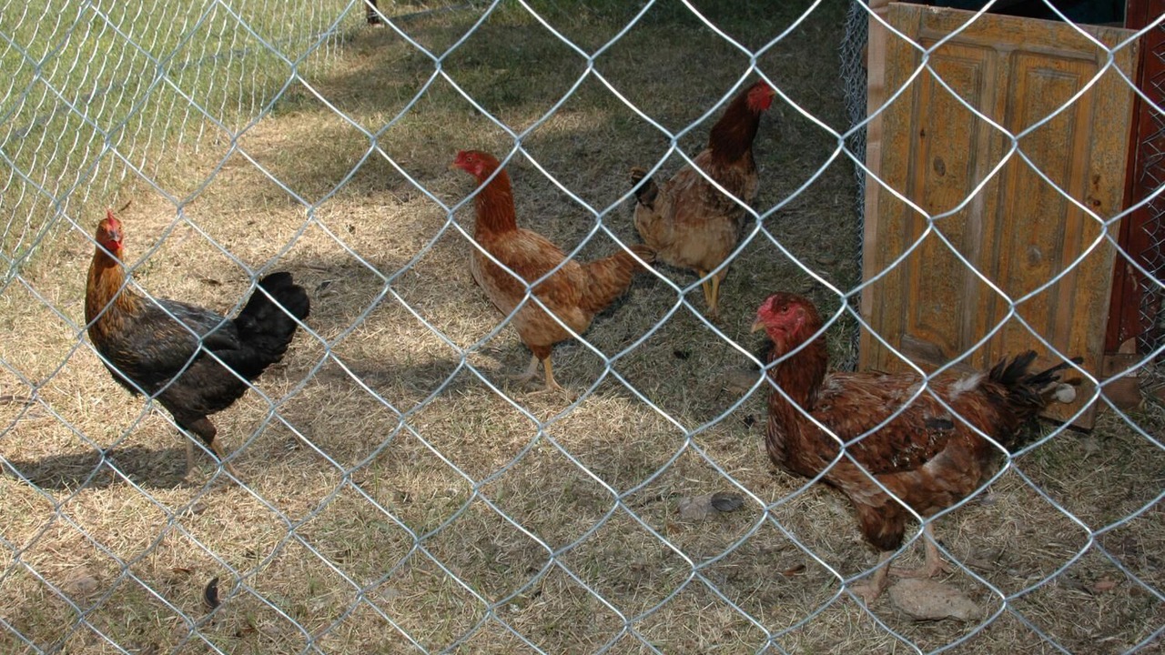 Photo of Others in Hisaronu