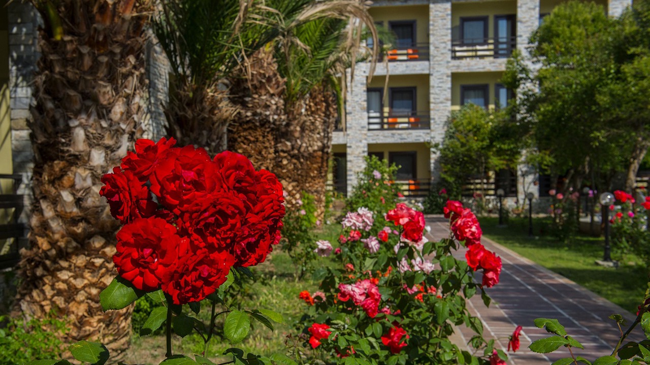 Photo of Outdoor in Guzelyali