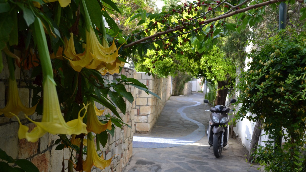 Photo of Outdoor in Bodrum City Center