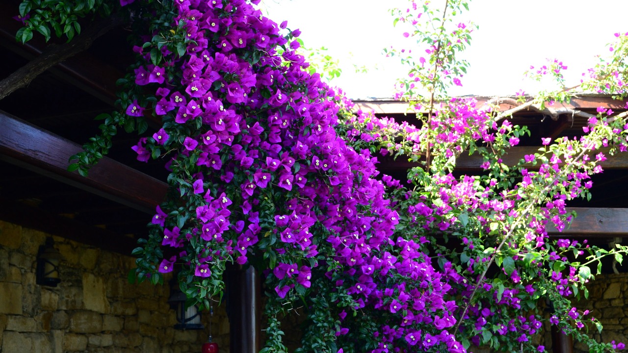 Photo of Outdoor in Bozcaada