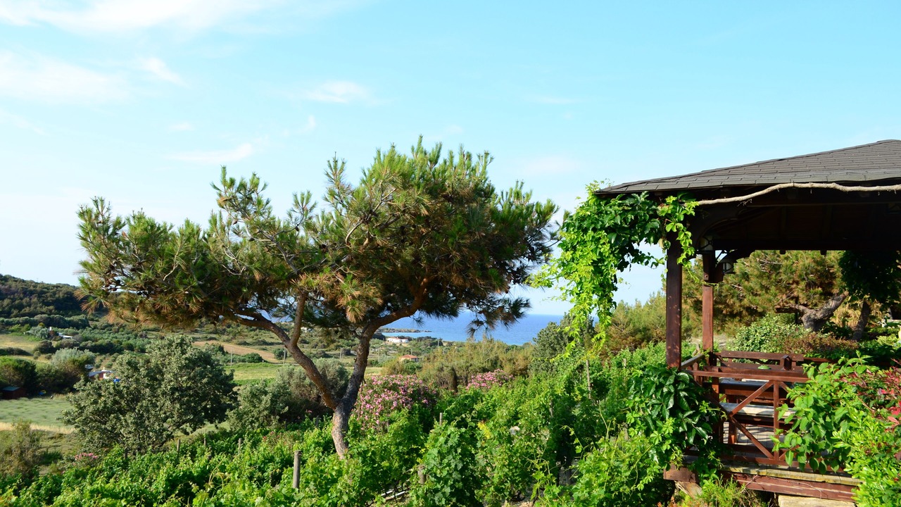 Photo of Outdoor in Bozcaada