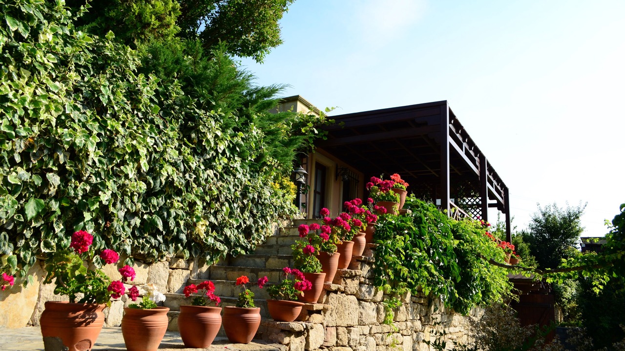Photo of Outdoor in Bozcaada