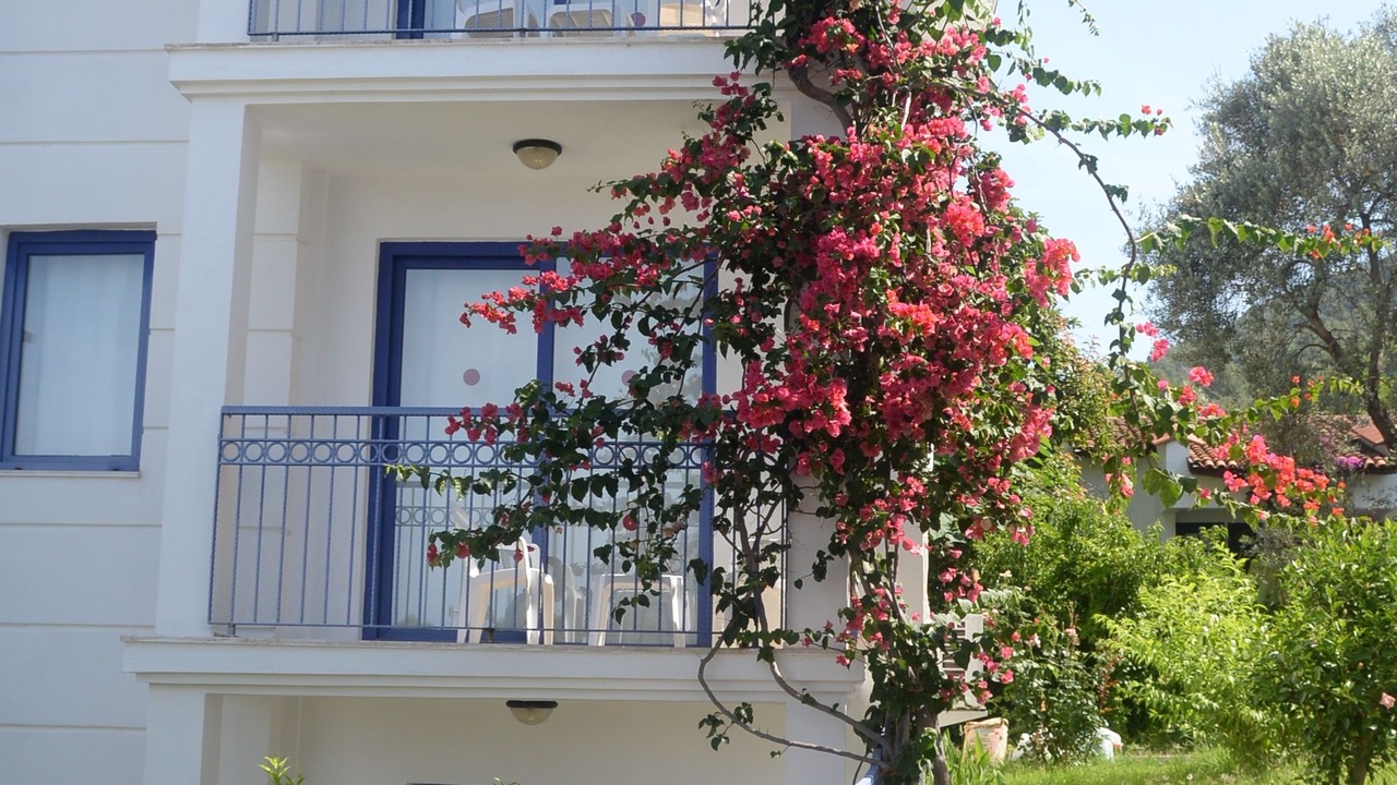 Photo of Outdoor in Oludeniz City Center