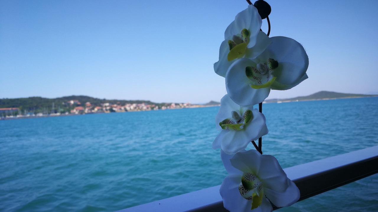 Photo of Others in Ayvalik City Center