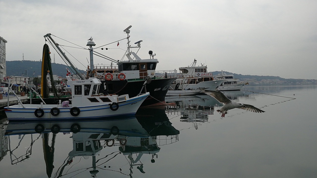 Photo of Others in Ayvalik City Center