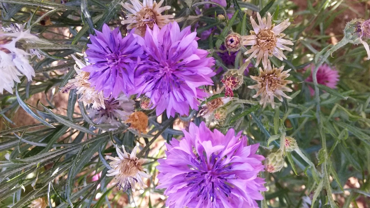 Photo of Outdoor in Avanos