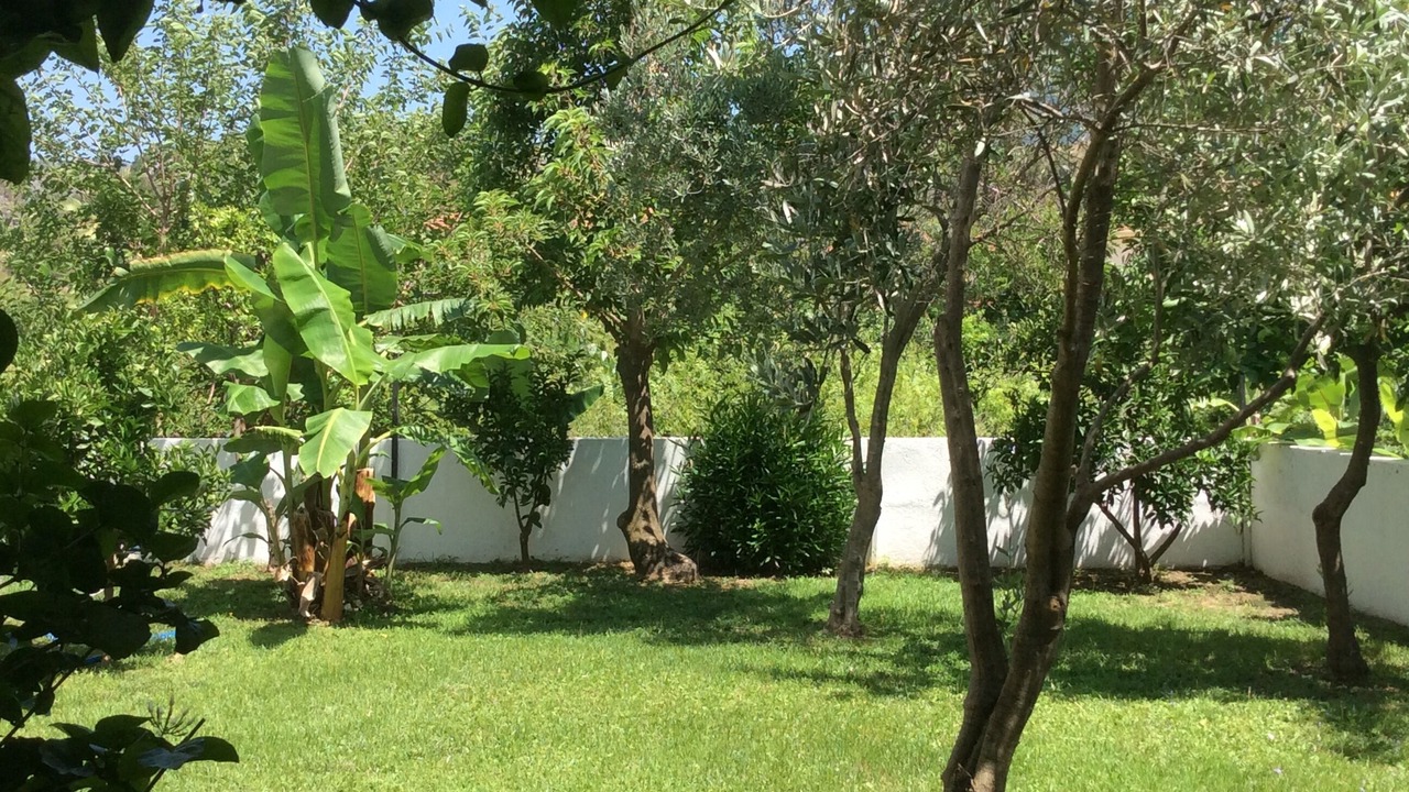 Photo of Outdoor in Dalyan