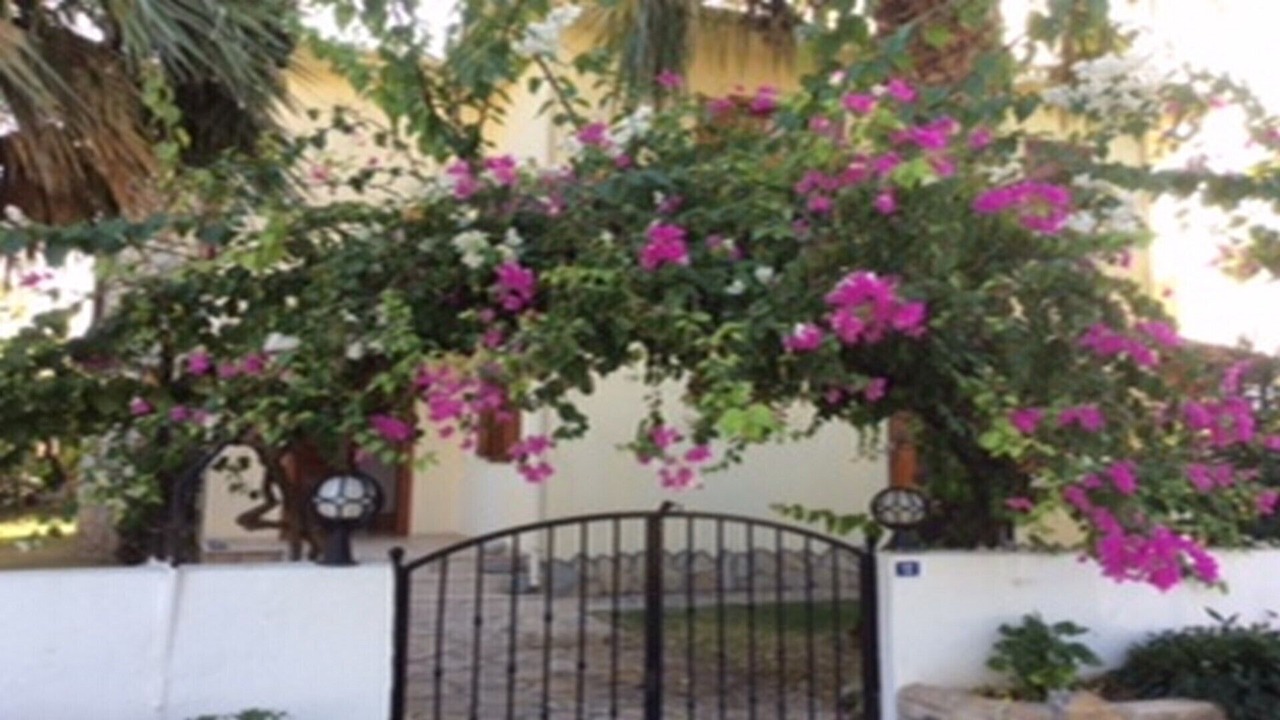 Photo of Outdoor in Dalyan