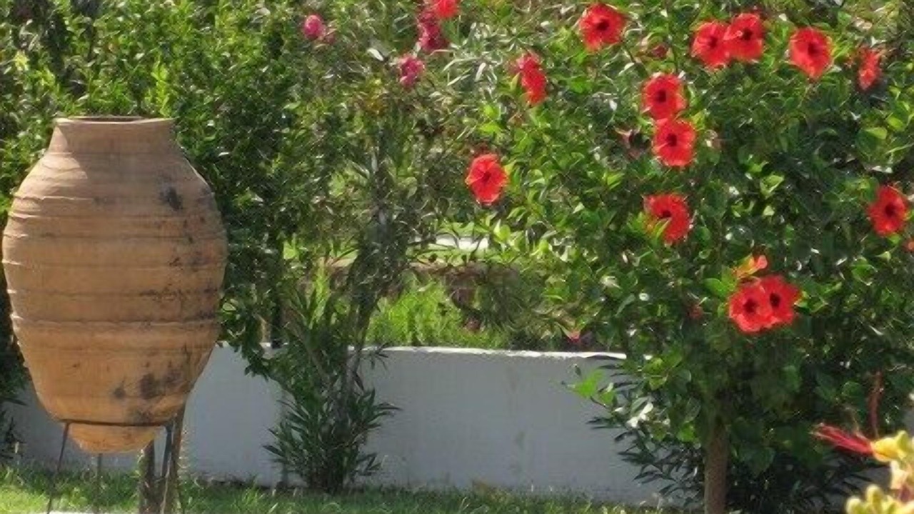 Photo of Outdoor in Dalyan