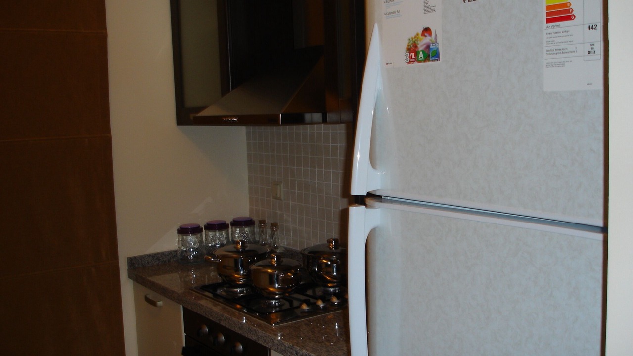 Photo of Kitchen in Yaniklar