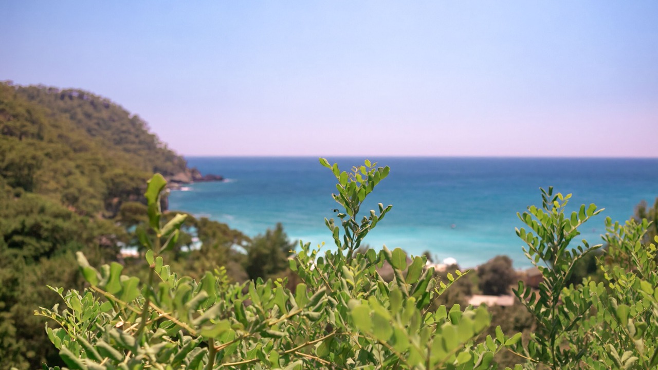 Photo of Others in Kabak Valley