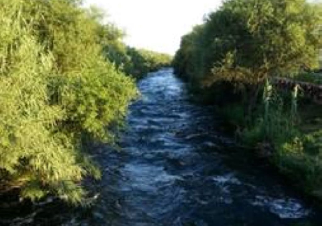 Photo of Others in Eski Lara