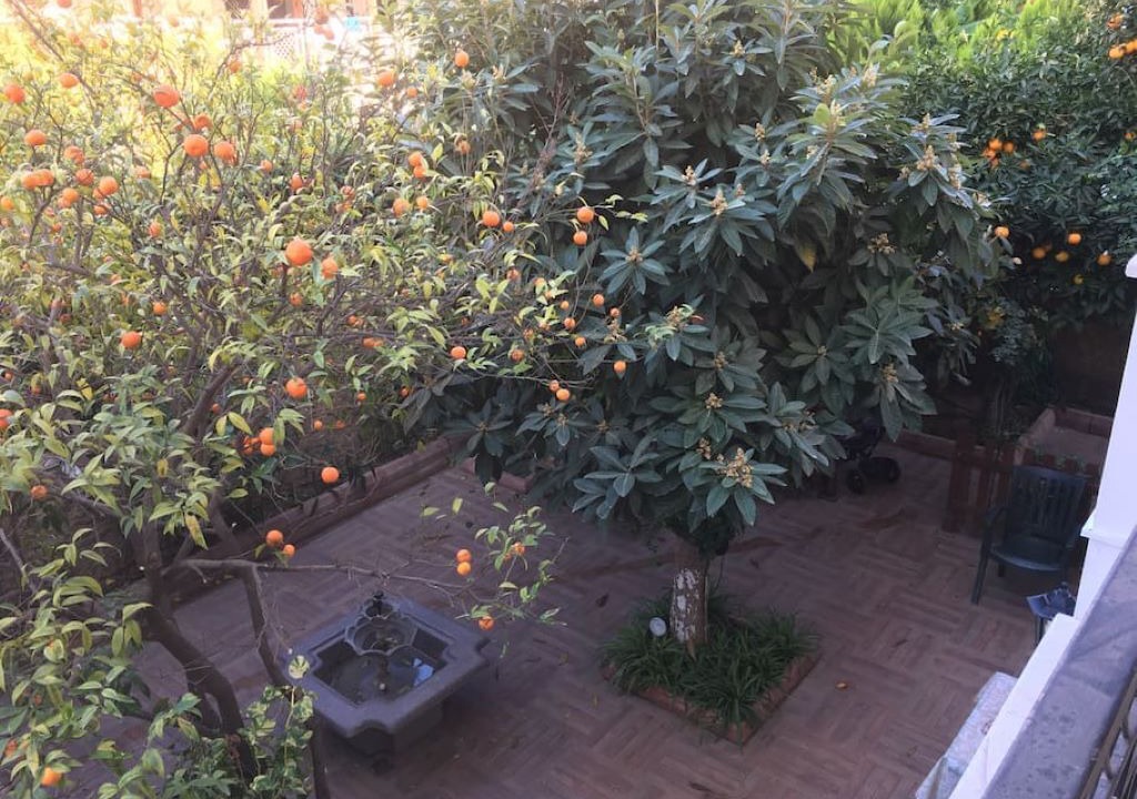 Photo of Outdoor in Eski Lara