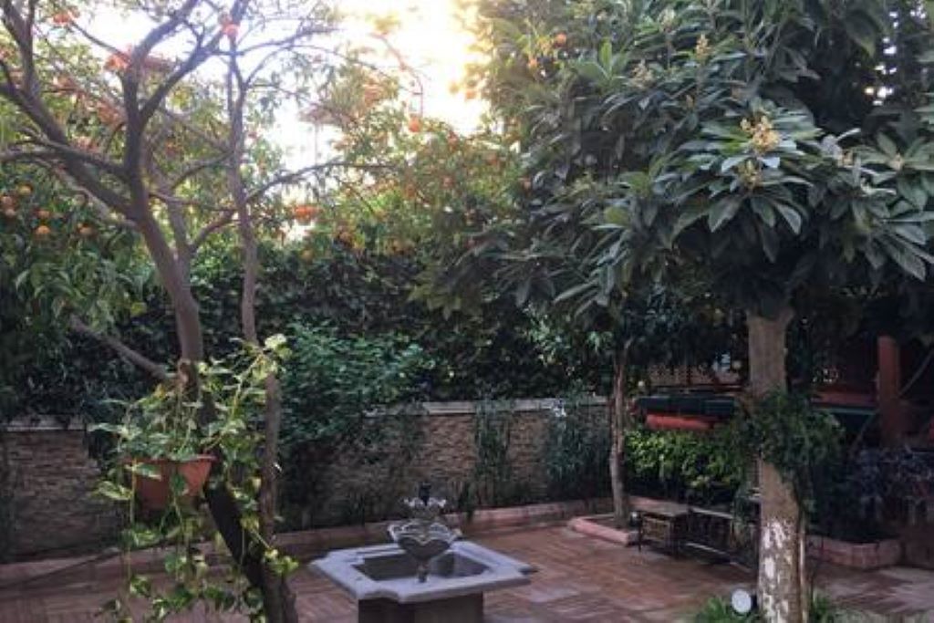 Photo of Outdoor in Eski Lara