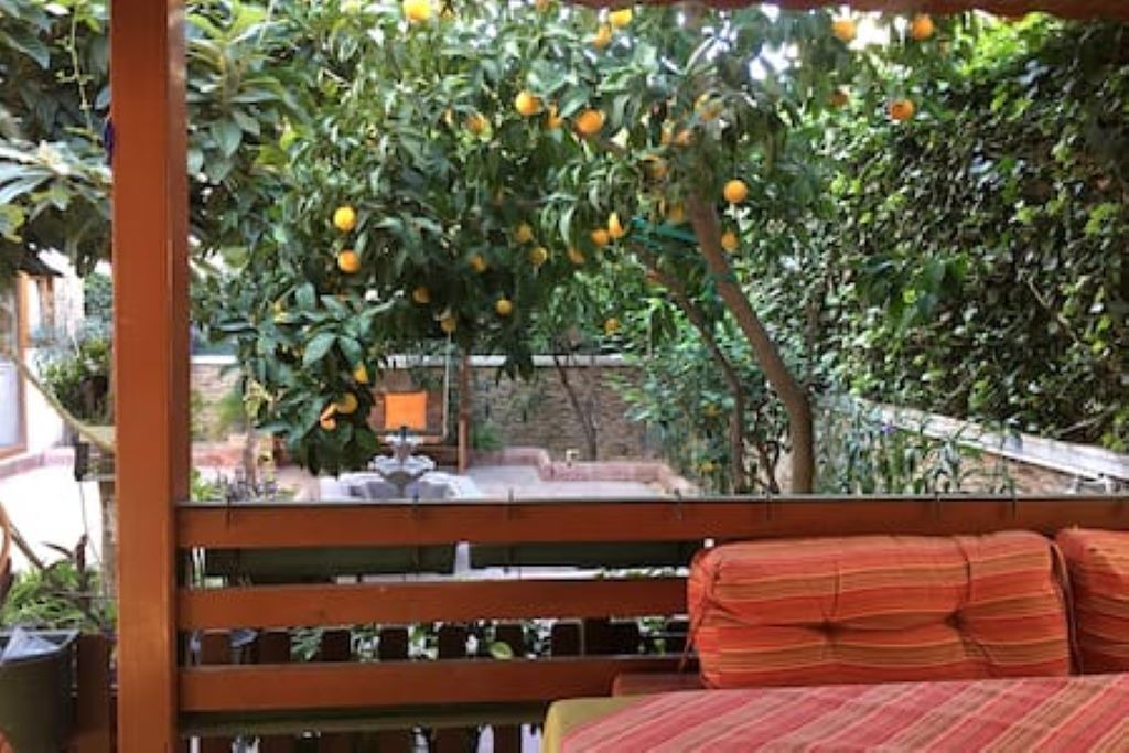 Photo of Outdoor in Eski Lara