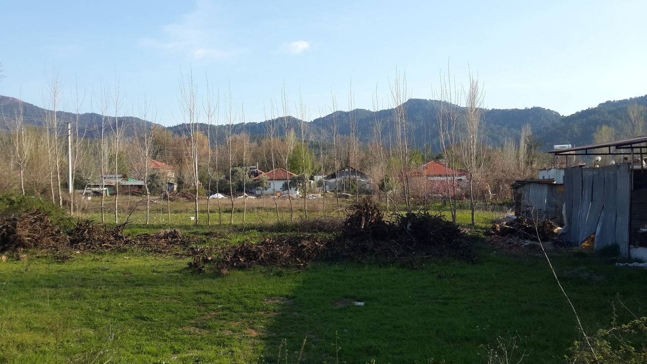 Photo of Outdoor in Koycegiz