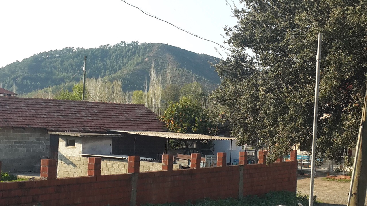 Photo of Others in Koycegiz