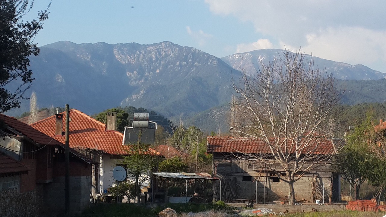 Photo of Outdoor in Koycegiz