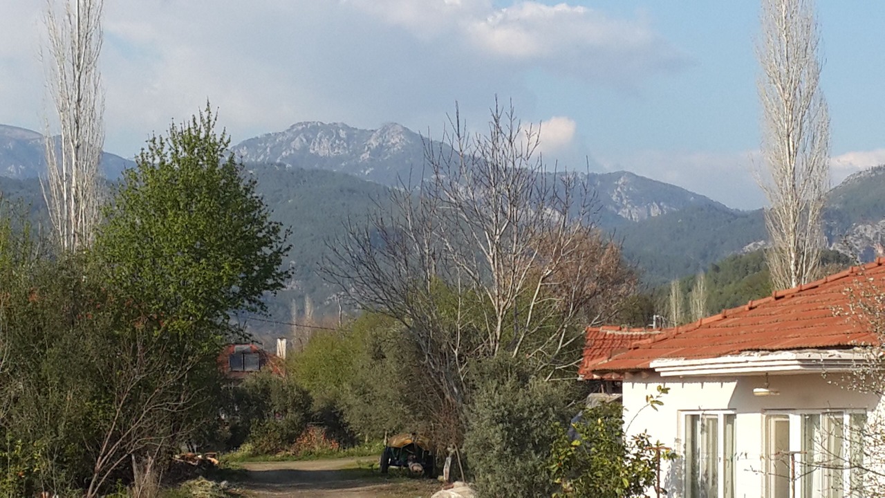 Photo of Others in Koycegiz