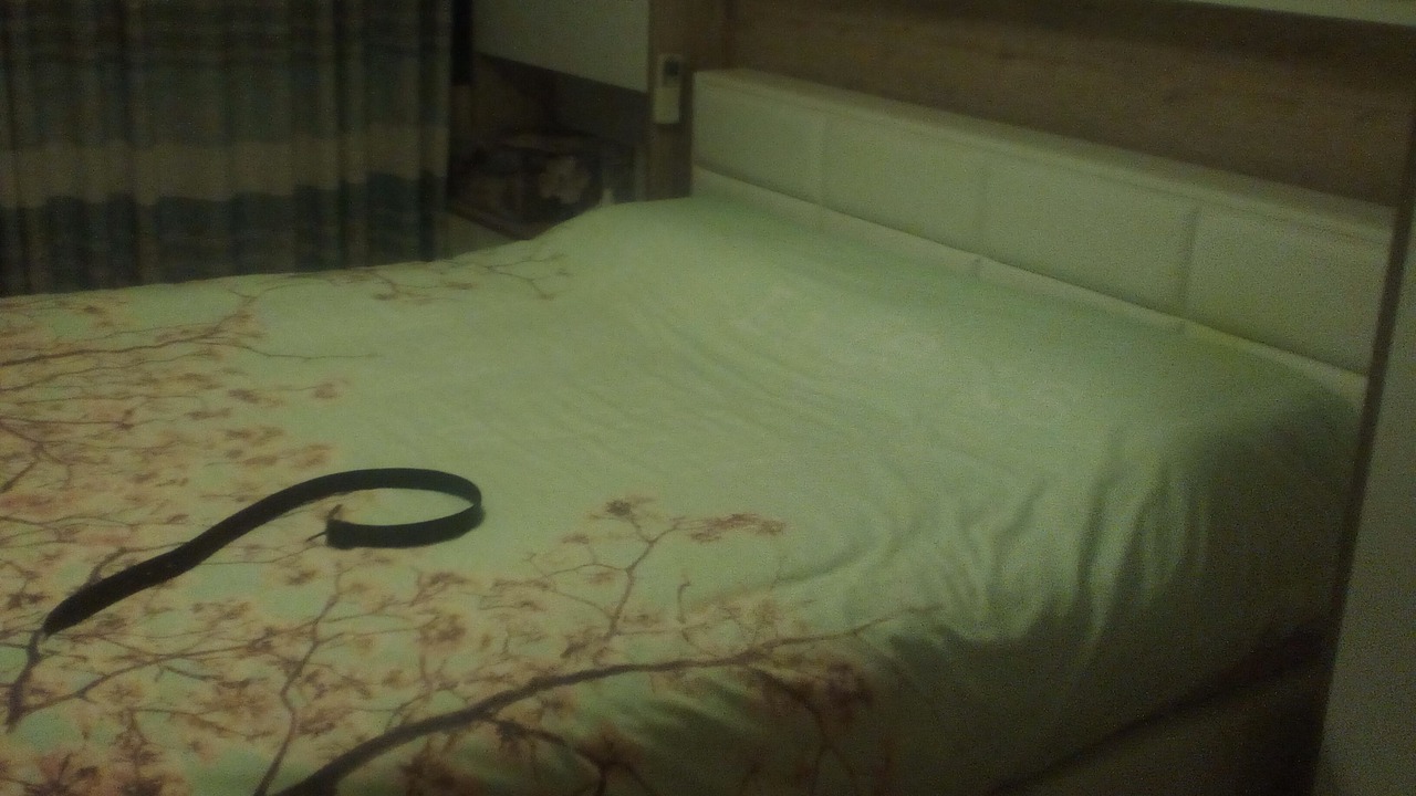 Photo of Bedroom in Fındıkzade