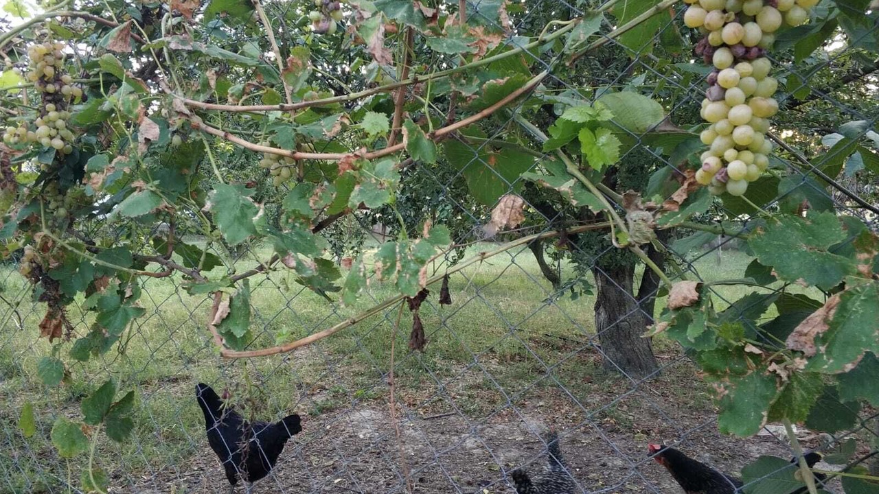 Photo of Outdoor in Pınarhisar