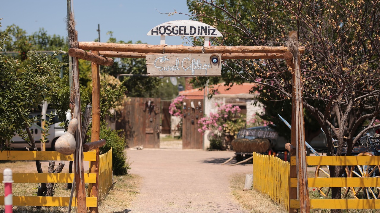 Photo of Outdoor in Altınova