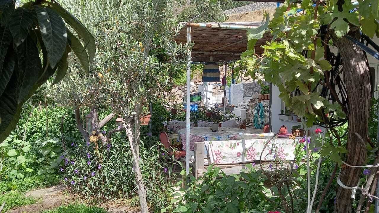 Photo of Outdoor in Sogut