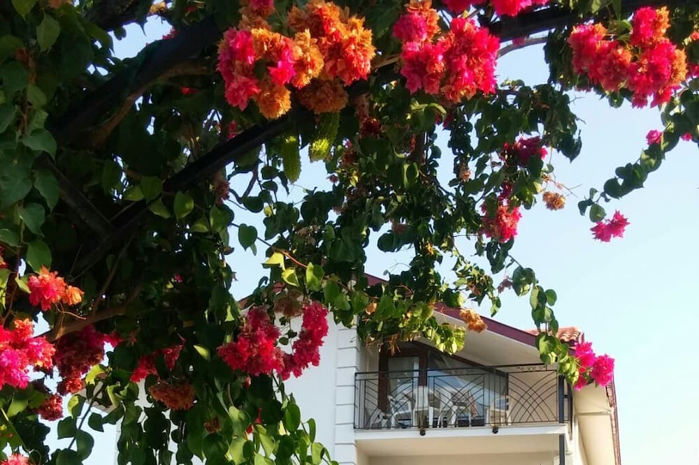Photo of Outdoor in Dalyan City Center
