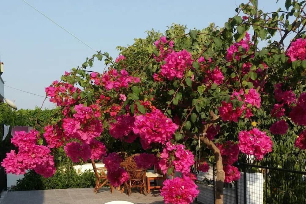 Photo of Outdoor in Dalyan City Center