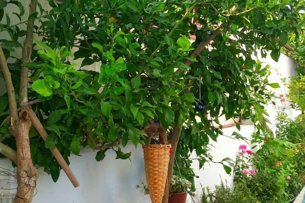 Photo of Outdoor in Dalyan City Center