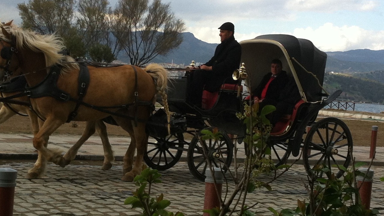 Photo of Outdoor in Guzelbahce