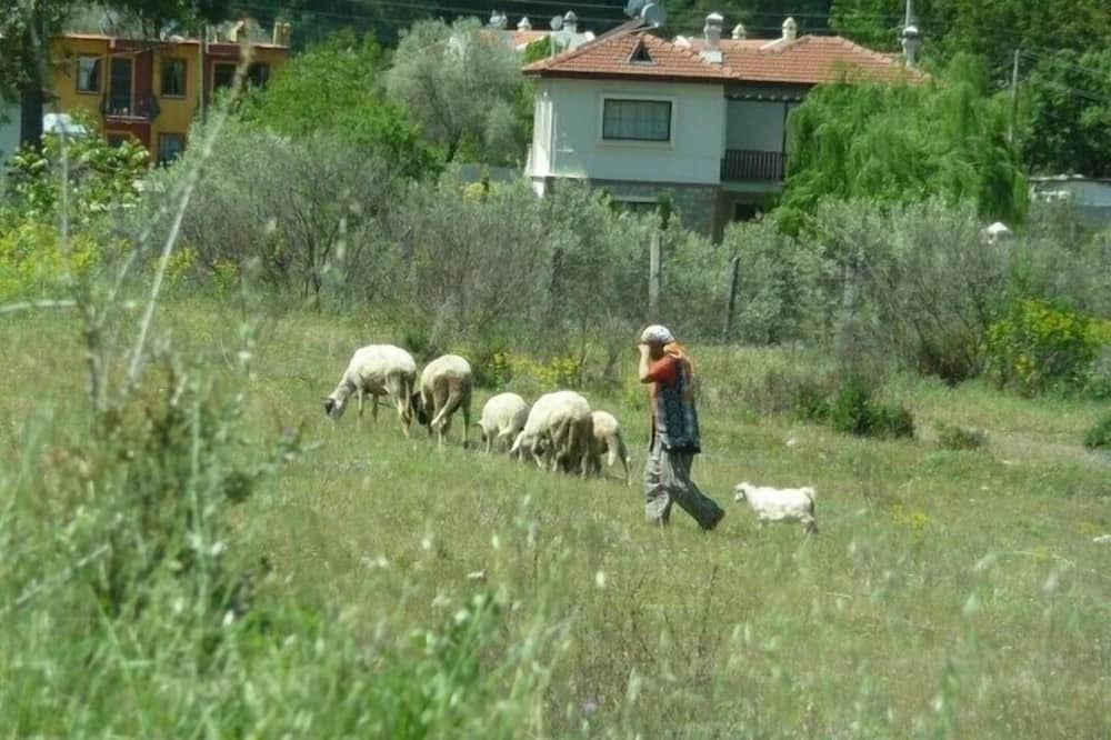Photo of Others in Yesiluzumlu