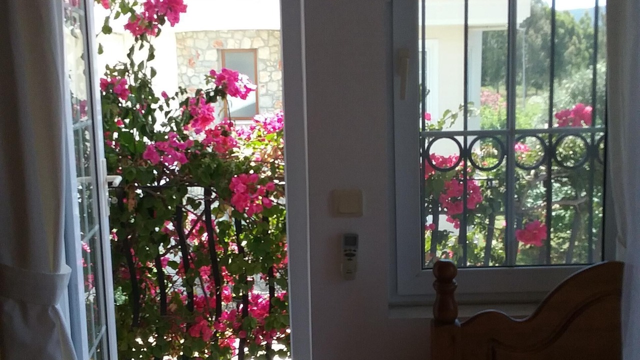 Photo of Others in Fethiye City Center